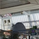 필부서비스 이미지