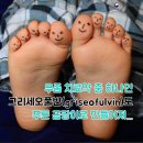 푸른곰팡이 이미지