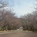 부산 근교 김해 아이랑 가볼만한 곳 가야랜드 * 세살아이 놀이기구 탄 후기