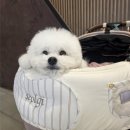 우백탄 스타필드수원점 | 수원 스타필드 맛집 | 소바쥬 팝업 후기, 박주성 셰프 미슐랭 메밀 소바