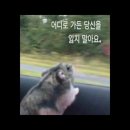 복수축산 | 퇴사했따~🕴️