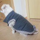 손바느질로 만드는 강아지 옷 이미지