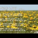 김정호-하얀나비cover 수상한 그녀 OST/심은경/조관우/나훈아/알리/요요미/추억의 명곡/코드/가사 이미지