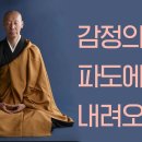 감정의 파도에서 내려오기 [그럼에도 왜 사느냐 묻는다면] - 미나미 지키사이 이미지