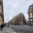 비소(장군)-호-4 | [영국 교환학생] 🇫🇷 프랑스 파리 6박7일 혼자 자유 여행 후기(2) - 루브르 박물관 (투어 없이 개별 관람)