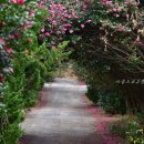 화흥농장 이미지