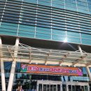 남원을 요리하다 | 치즈덕후 필수템!일산킨텍스 메가쇼2024에서 만난 쫀득 바삭 치즈떡 리뷰