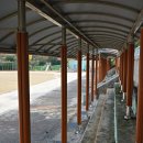 원량초등학교 이미지