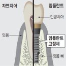 제기유디치과의원 조선일보