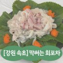 막써는회포차 | 속초 막회 맛집 추천｜속초 현지인맛집 막써는회포차 싹다막회 솔직후기