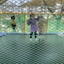 맹맹이농장 | 파주 아이랑 갈 만한 곳 ‘퍼스트 가든’ - 두번째 방문후기