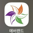 홈브리지 캐빈호스텔 이미지