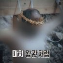 (주)팀씨