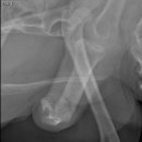 어울림동물메디컬센터 이미지