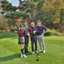 이포로 | 여주 이포CC 가을 가을한 핑크뮬리 라운딩 골프장 후기