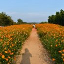 행복한하루 이미지