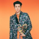 레이디올 이미지