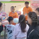 로봇솜사탕 - 나주시 | 로봇솜사탕