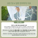 미가람부부한의원 이미지