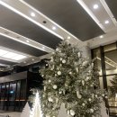 씨앤드래곤 | [서울 여의도] 기념일에 가기 좋은, 63빌딩 <워킹온더클라우드> 디너코스 솔직후기