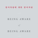 [도서정보] 알아차림의 알아차림 / 루퍼트 스파이라 / 퍼블리온 이미지