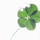 검정고시(중졸) 이미지