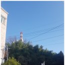 중화산1동 주민센터 이미지
