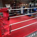 앨바트로 복싱 이미지