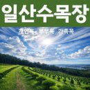 태인장묘개발컨설팅 | 일산수목장 미리 준비하면 무엇이 다른가요?