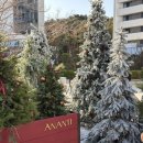 리츠 | 이유식 용기 추천, 시리츠 ceriz 가볍고 저렴한 플레이트 후기