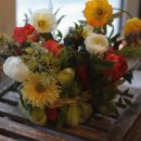 컨포지움 이미지