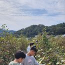 마령초등학교 이미지