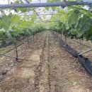 Fang PC방 이미지