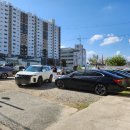 낙지마당평화점 이미지