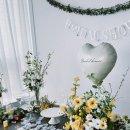 소랑호게 이미지