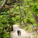 [休]1,600년 고찰 품은 산성 따라 걸으면...섬마을 속살이 한눈에 이미지