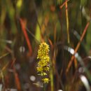 김씨농장 이미지