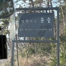 3월 부산근교여행, 기장 보리수펜션 후기