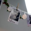 참사랑동물병원 이미지