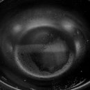 신촌명가돼지국밥 이미지