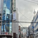 해운대교육지원청 이미지