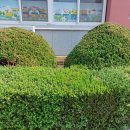 죽도초등학교 이미지