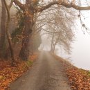 애플코리아 유한회사 이미지