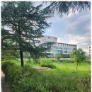 마음에들어 행정사사무소 이미지