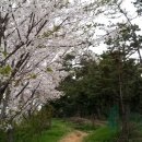 동림부동산공인중개사사무소 이미지