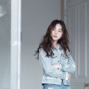아일랜드비