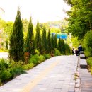 수원-1180 티스토리