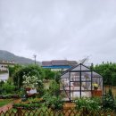 장미정원민박 이미지