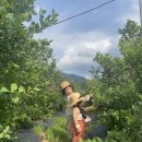 은우농장 이미지