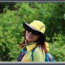 이리동산초등학교 이미지